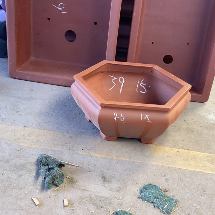 紫砂花盆真真正正