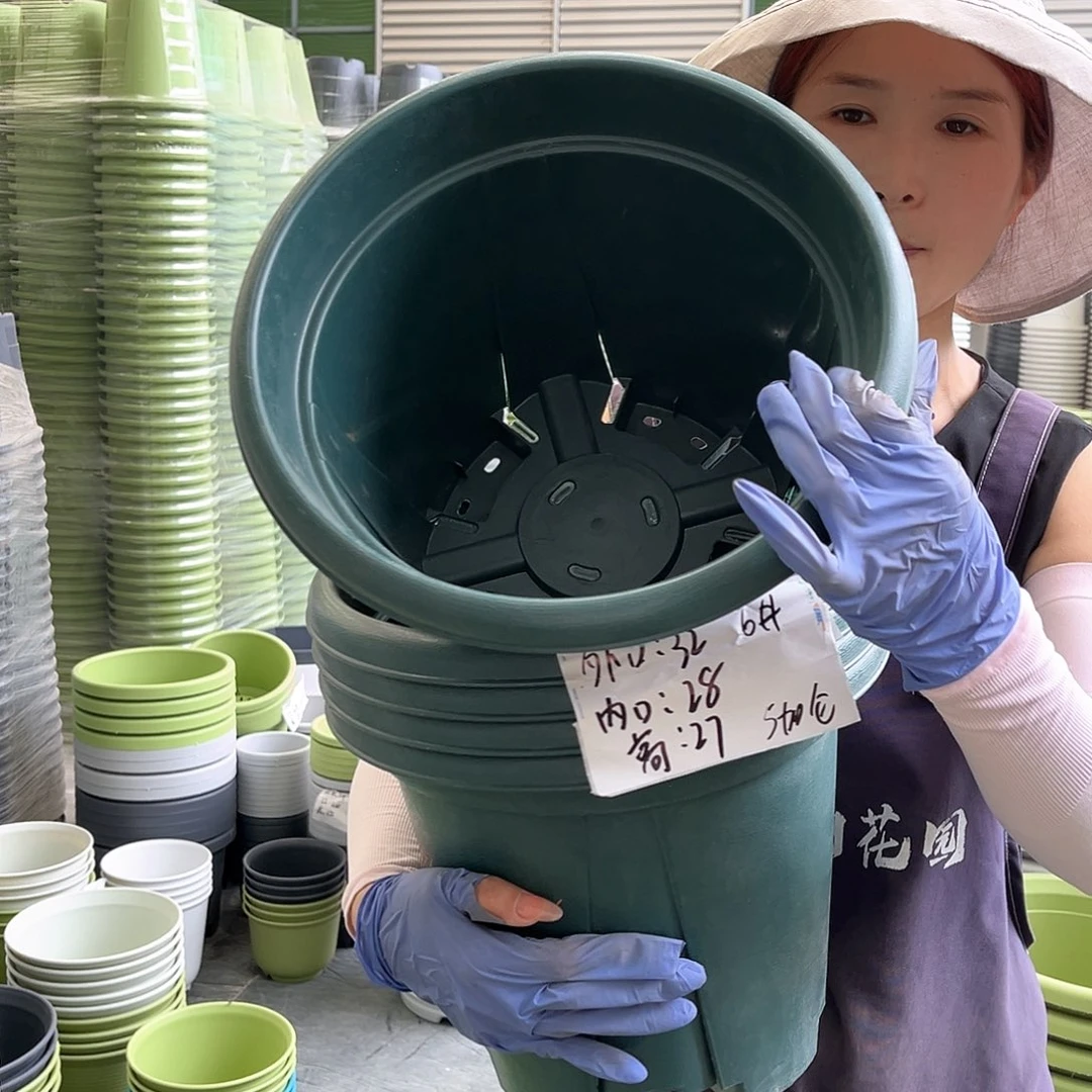 青山盆6#墨绿色5个含托