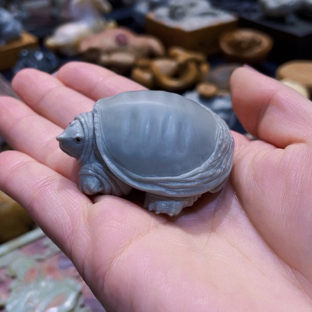 白色甲鱼富甲一方