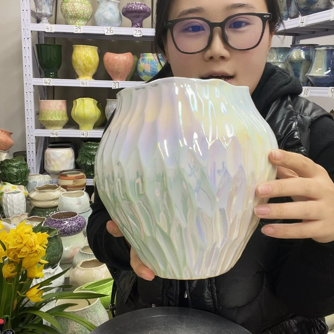 花盆里的小猫咪们都是可爱