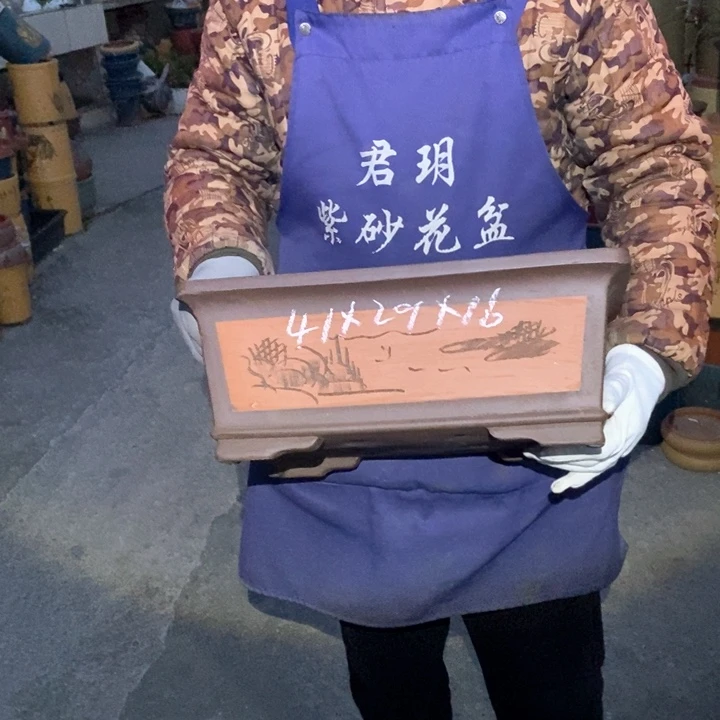 紫砂花盆盆栽花卉苗木种植