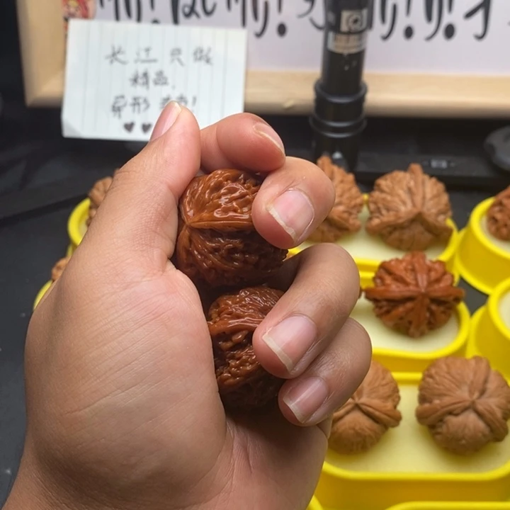 路***弘文玩核桃把件38白奔