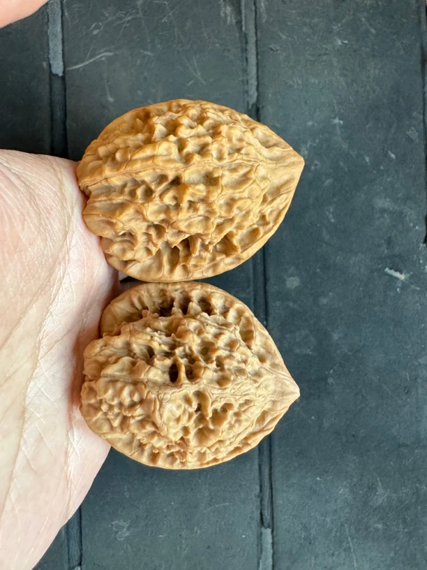 边39肚37练手对核桃（配的不精）全品一刀未动 一物一图