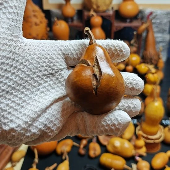 金***中直播间链接葫芦葫芦