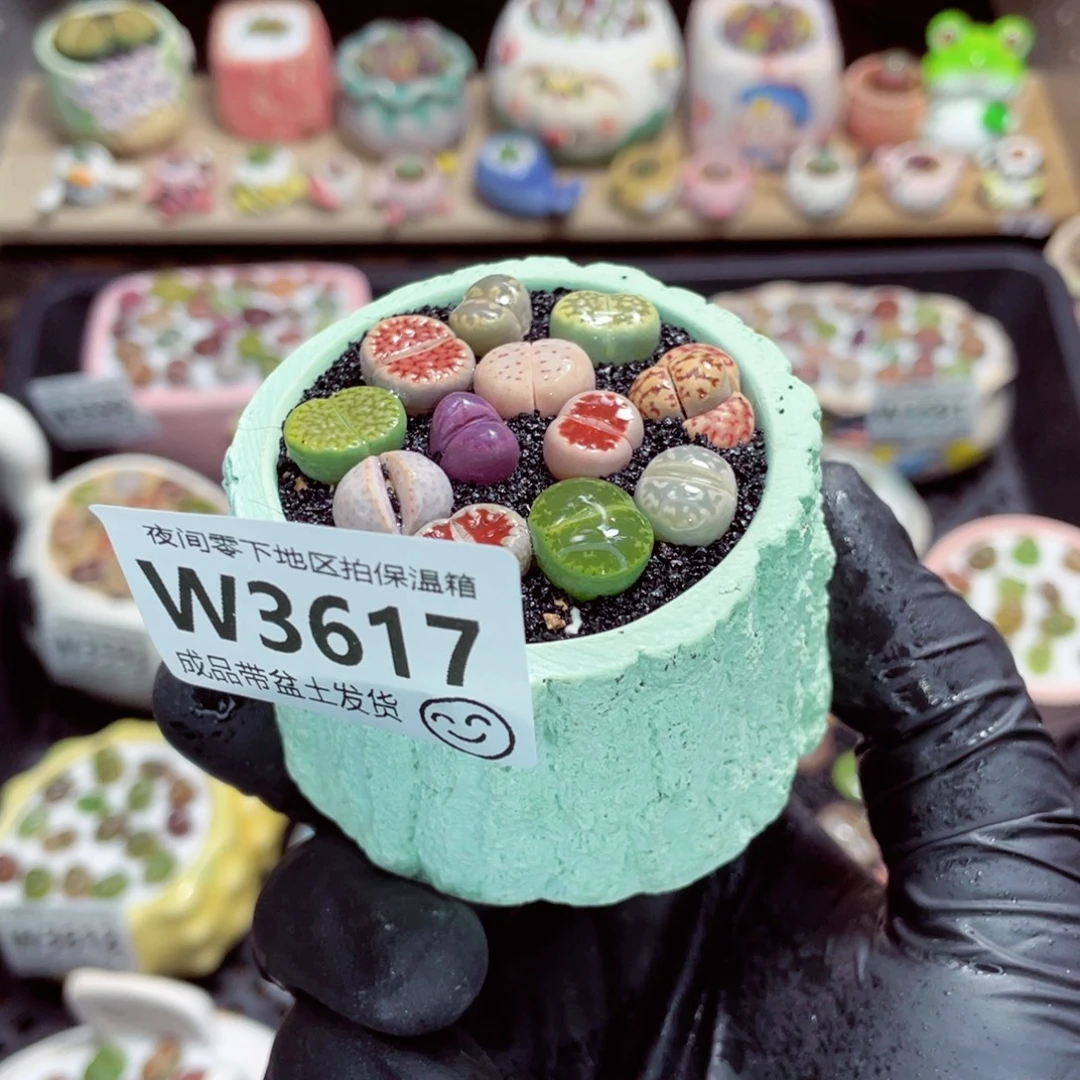 夜间零下地区拍保温箱w3617