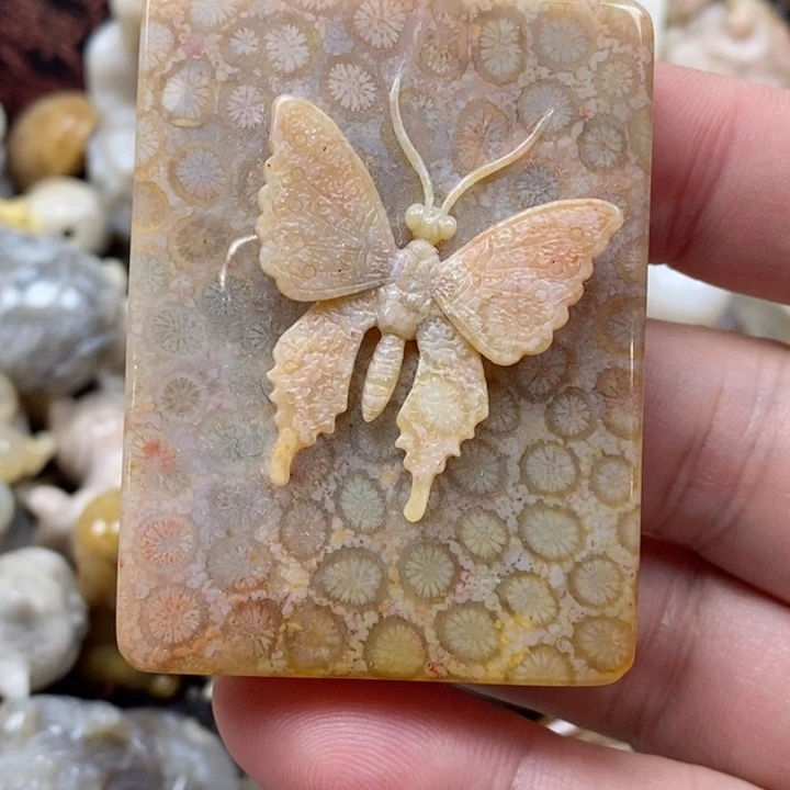 颈饰未镶嵌硅化珊瑚（珊瑚玉）