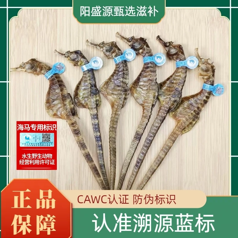 海马公母一对正品海马干货公母配对带溯源码煲汤泡酒海马泡酒专用