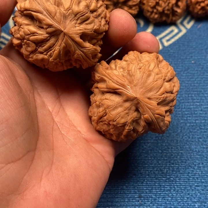 瓜***子吊坠文玩核桃龙鼎