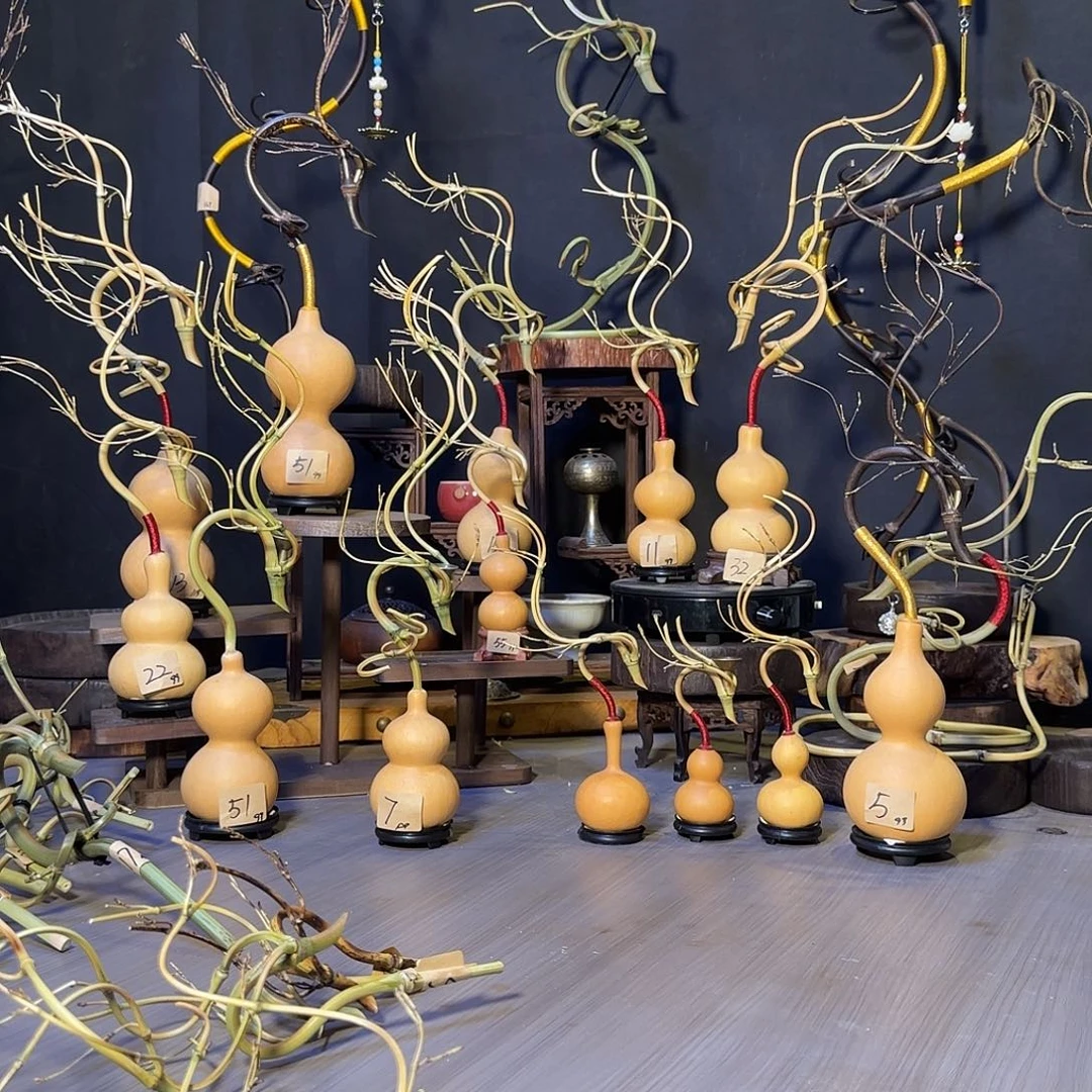 暧***阳小手捻葫芦龙头一个