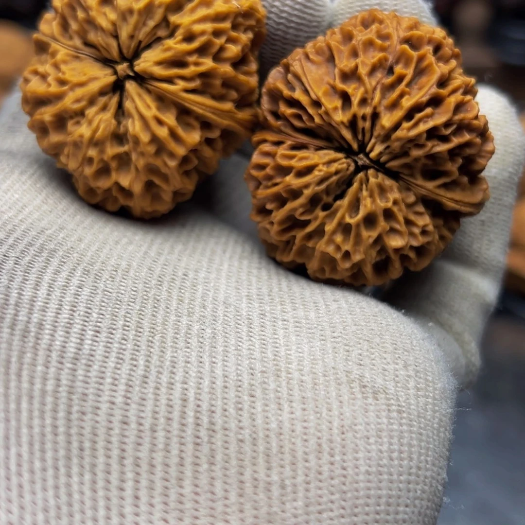 41尺寸百花珊 一物一图