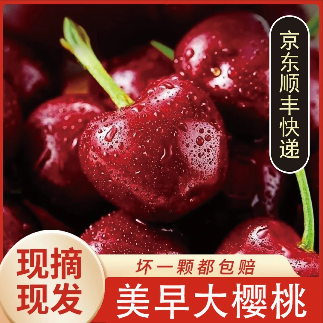 【顺丰/京东】山东美早大樱桃新鲜当季水果5斤S3