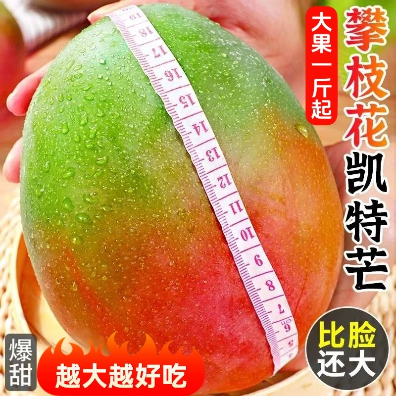 攀枝花凯特芒果核薄肉厚爆甜多汁新鲜热带应季水果