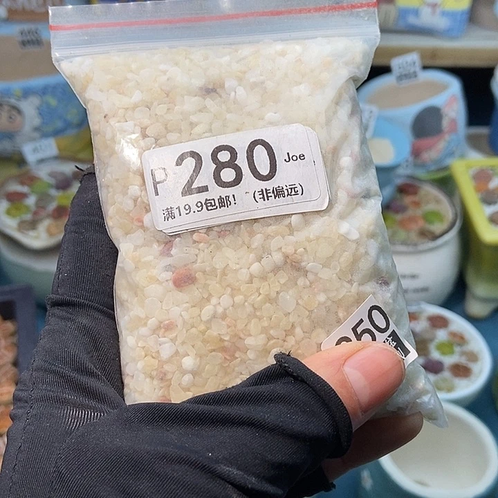 一****✨大舅生石花肉锥多肉280