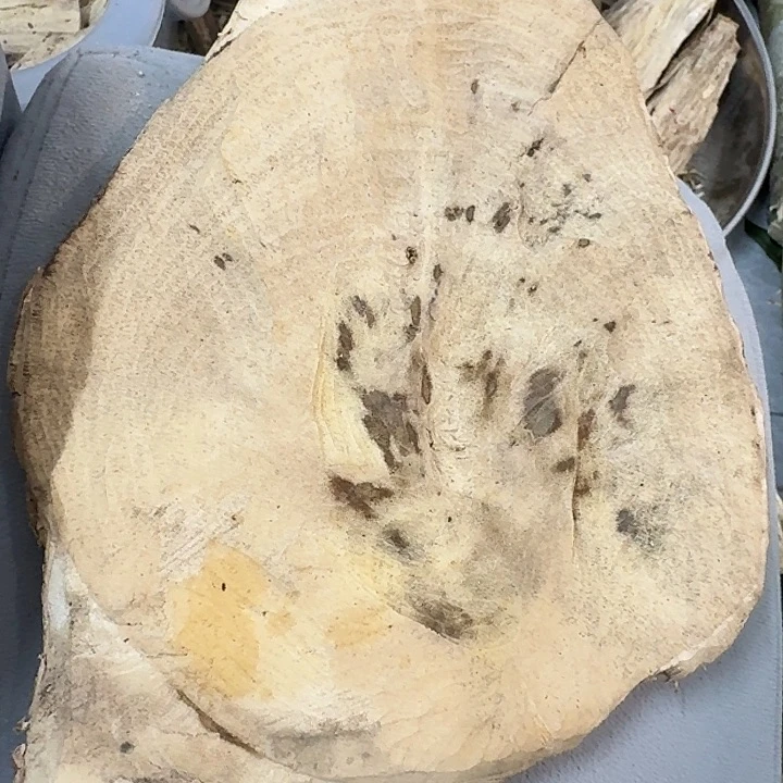 沉香碎屑沉香沉香料子