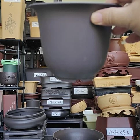 *****10只15*11.8金钟盆紫檀色