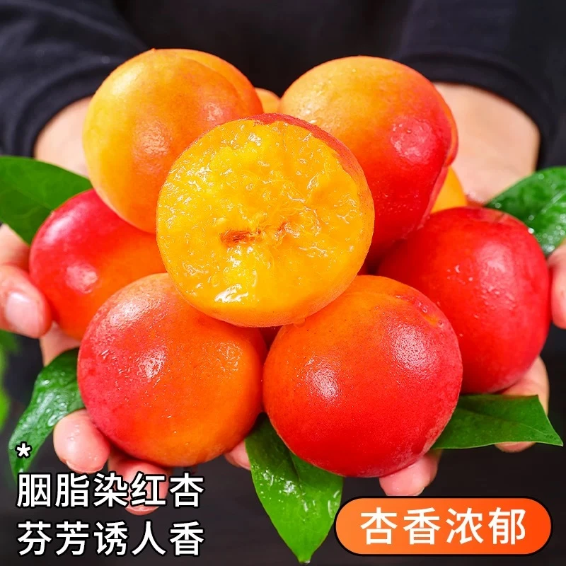 裕百果陕西胭脂红杏稀有贵妃红杏酸甜可口新鲜水果现摘现发