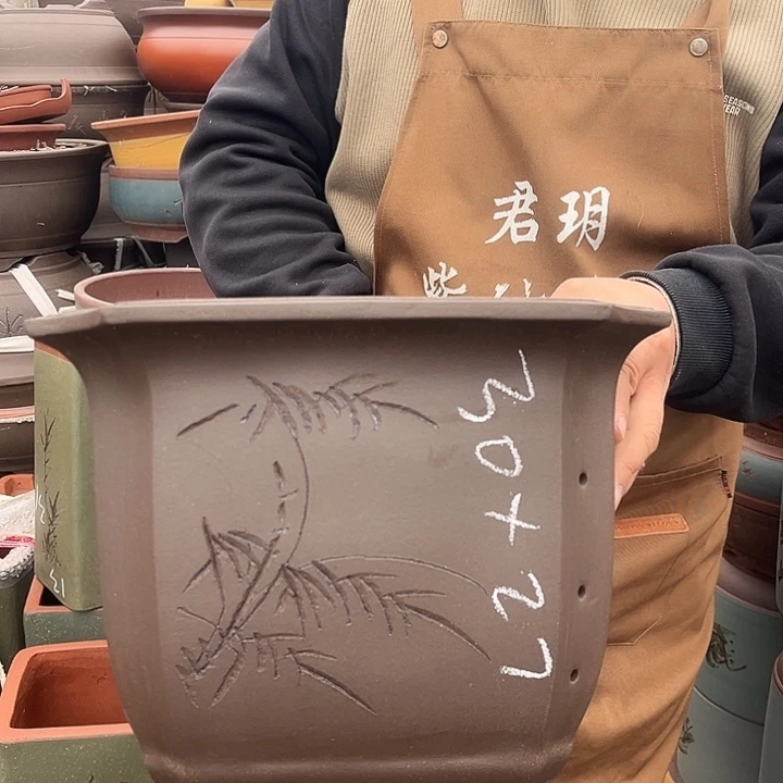 紫砂紫砂花盆盆栽