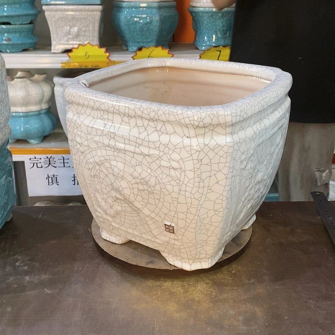 橙**生瑕疵花盆花盆都是我的
