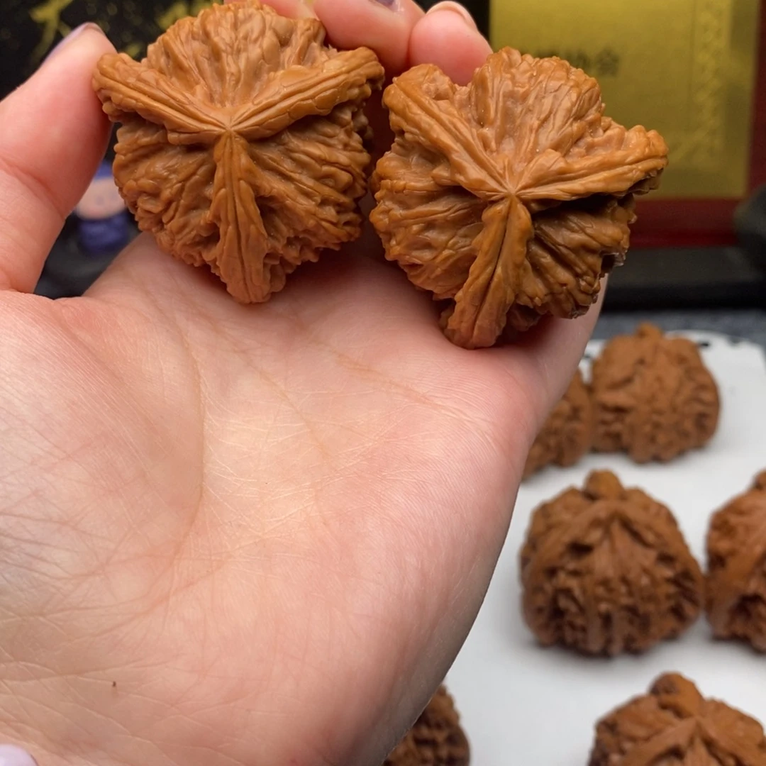 张**õ白狮子11111111