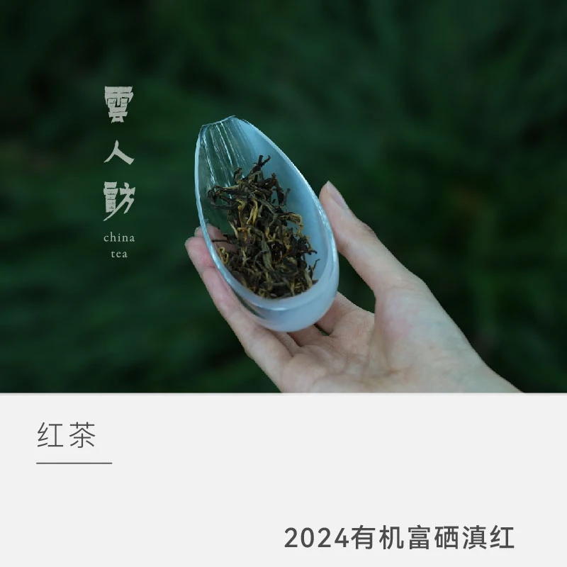 【2024有机富硒滇红】茶叶红茶 云人访