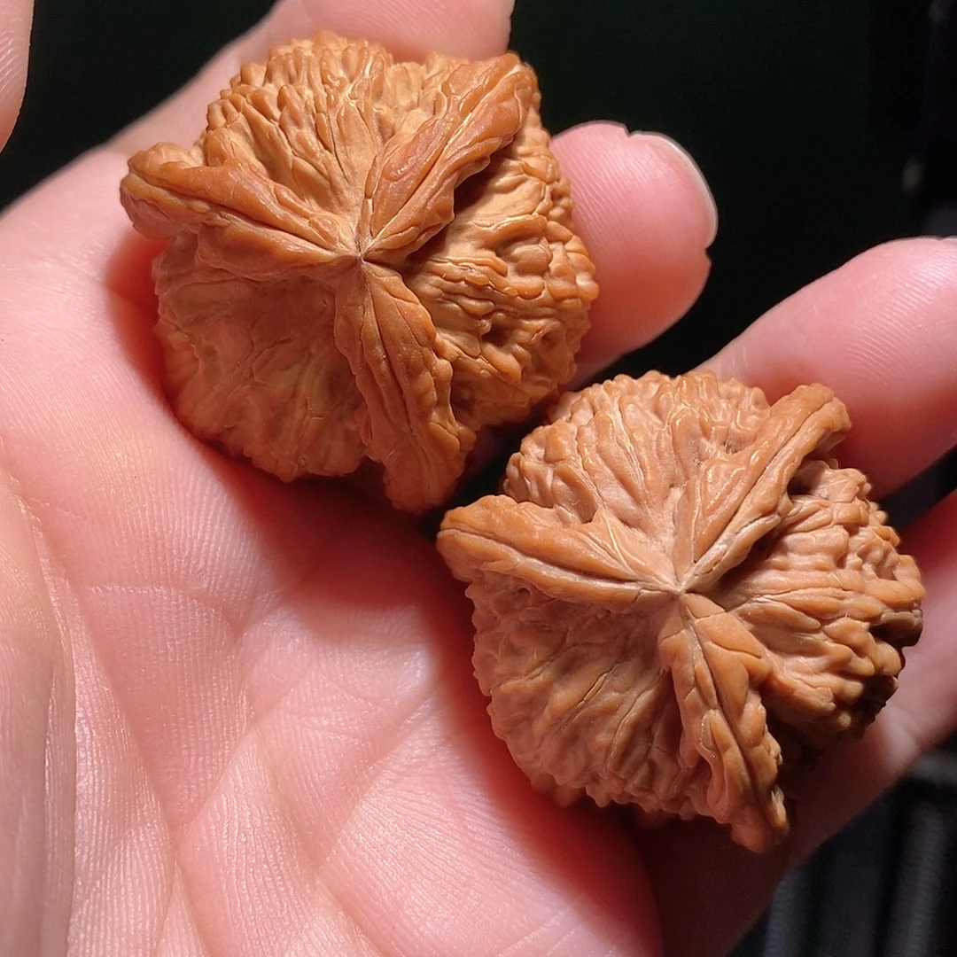 把件文玩核桃39白奔全品