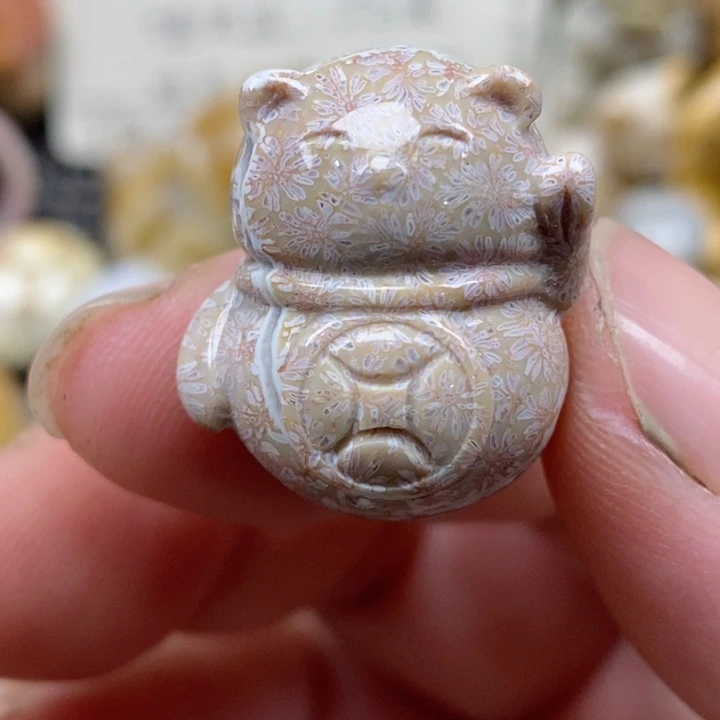 颈饰未镶嵌硅化珊瑚（珊瑚玉）小