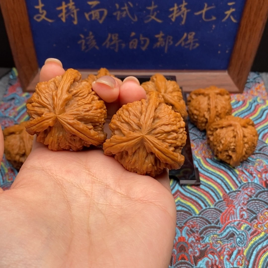 【闪购商品】?**゛白狮