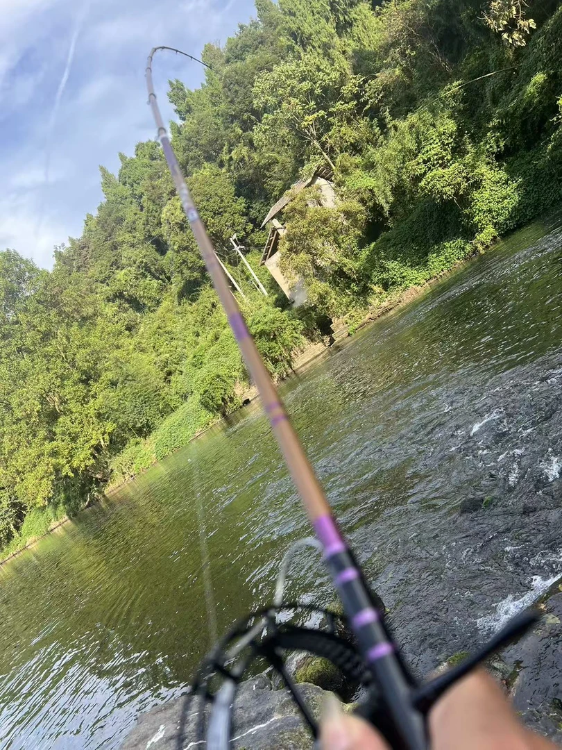 老夏渔具《本本三代3米8檀木手把盘车竿单竿》二八调腰力好手感舒适