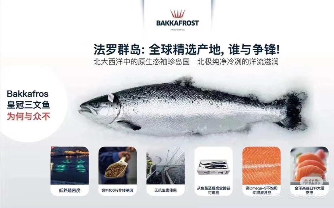 冰鲜丹麦法罗皇冠三文鱼800克