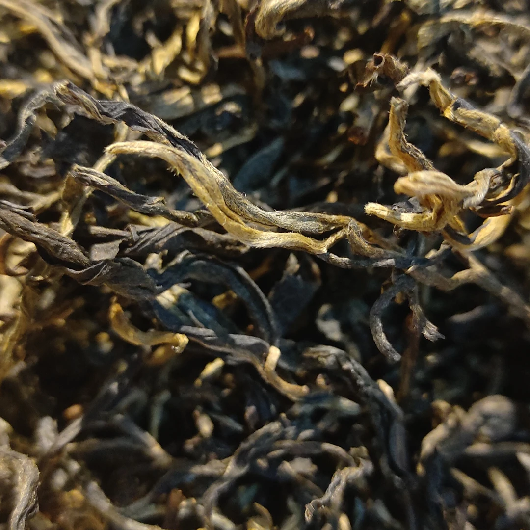 2025年棠梨山古树晒红芽头肥硕香气高长口感醇厚