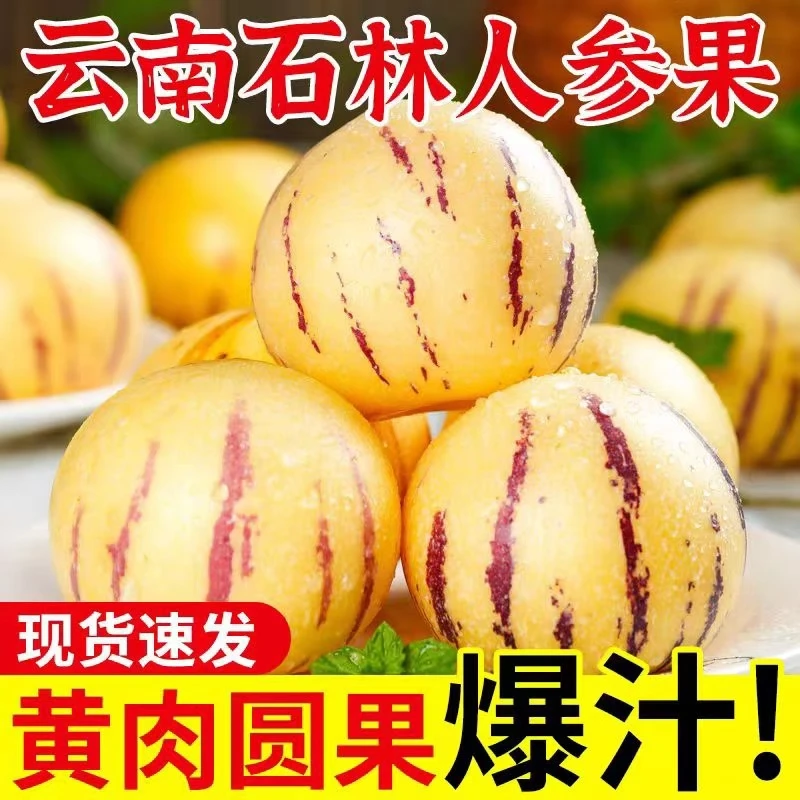 云南石林人参果云南石林树上熟圆果黄肉果新鲜清甜多汁当季水果