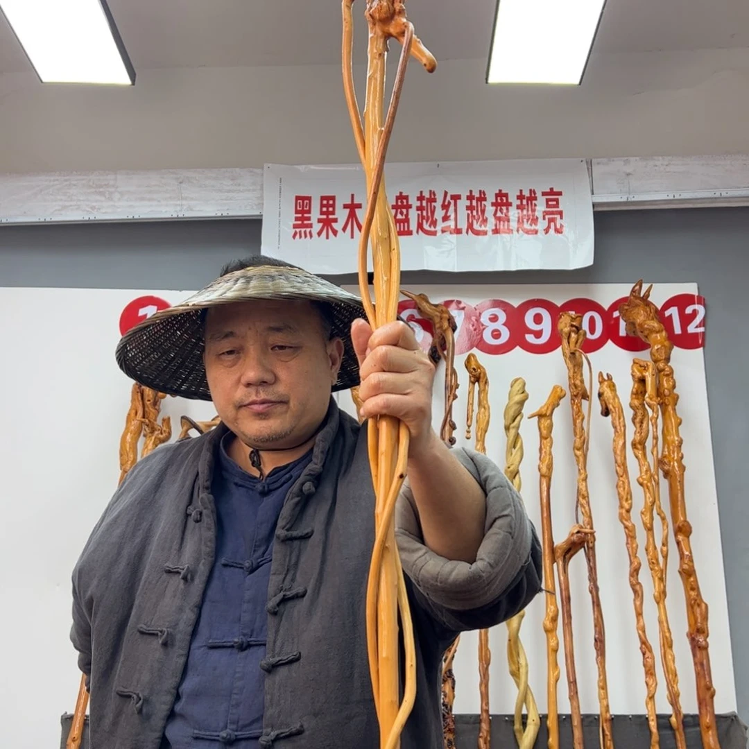 黑果木其他沧**粟黑果木629