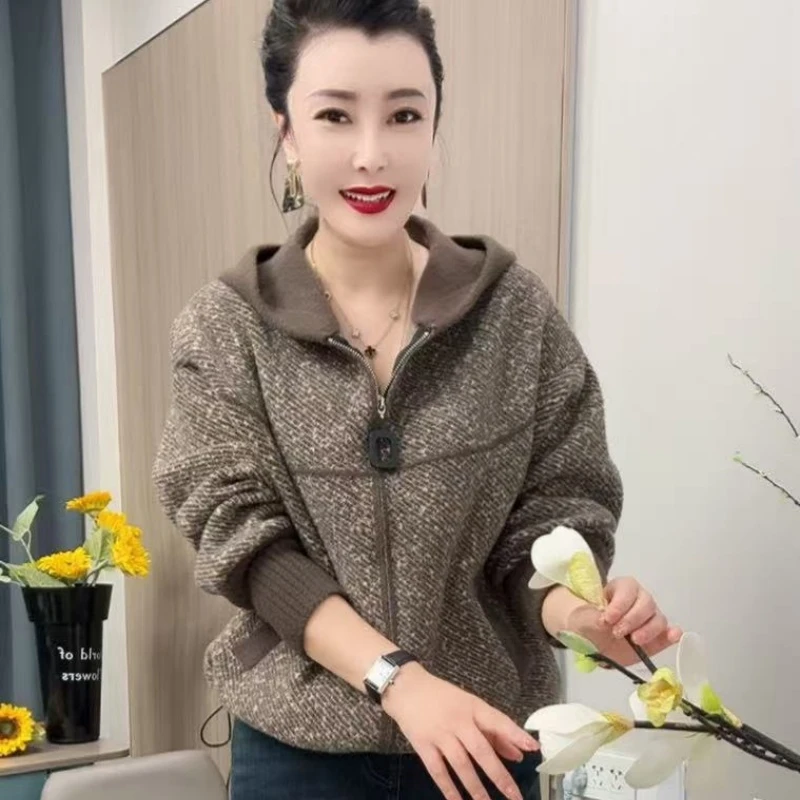 2517连帽外套百搭洋气女短外套常规款休闲大码冬季女装