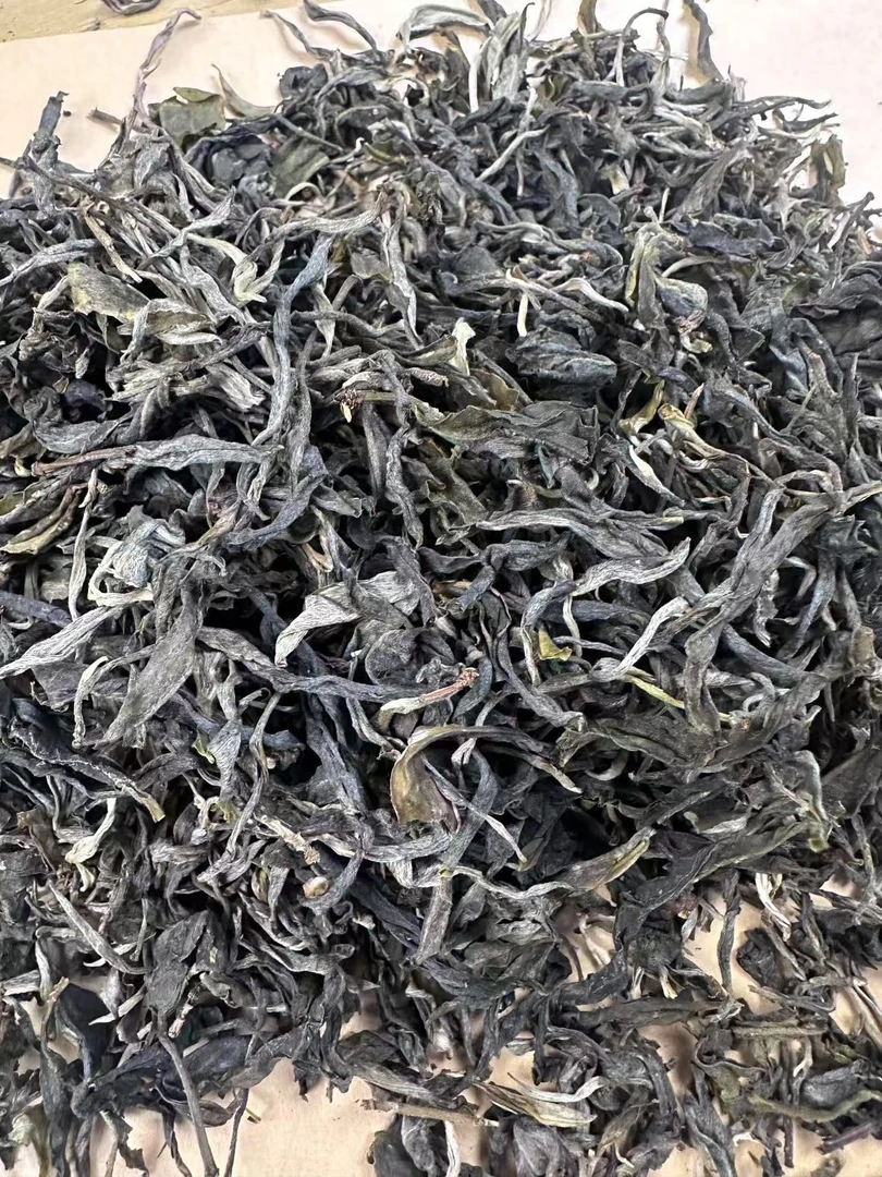 【二嘎子】2025年云南普洱茶白莺山古树头春生茶250g