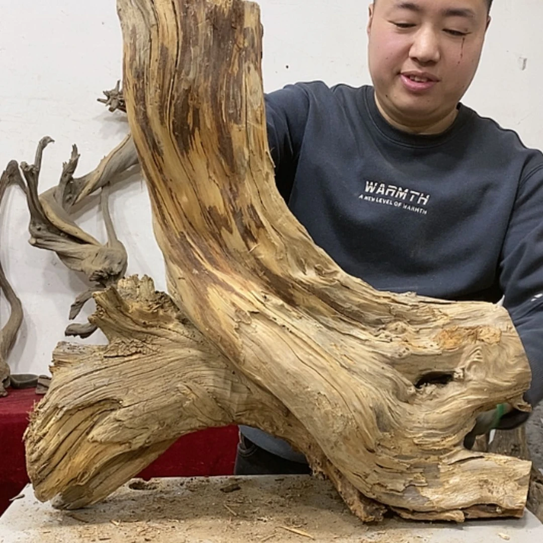 【闪购商品】柏木展****）我们的目标是成为一