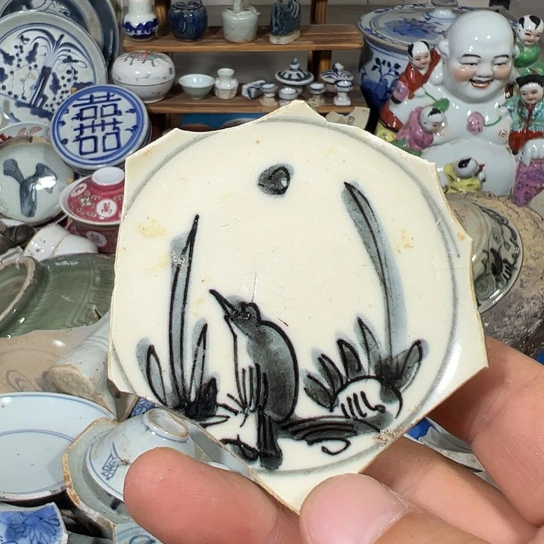 瓷片瓷片标本，全场包邮