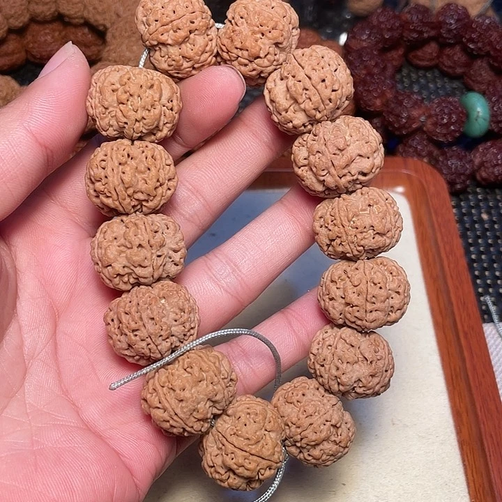 金刚菩提吊坠尼泊尔大金刚菩提