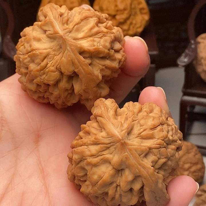 木质类吊坠龙鼎49尺