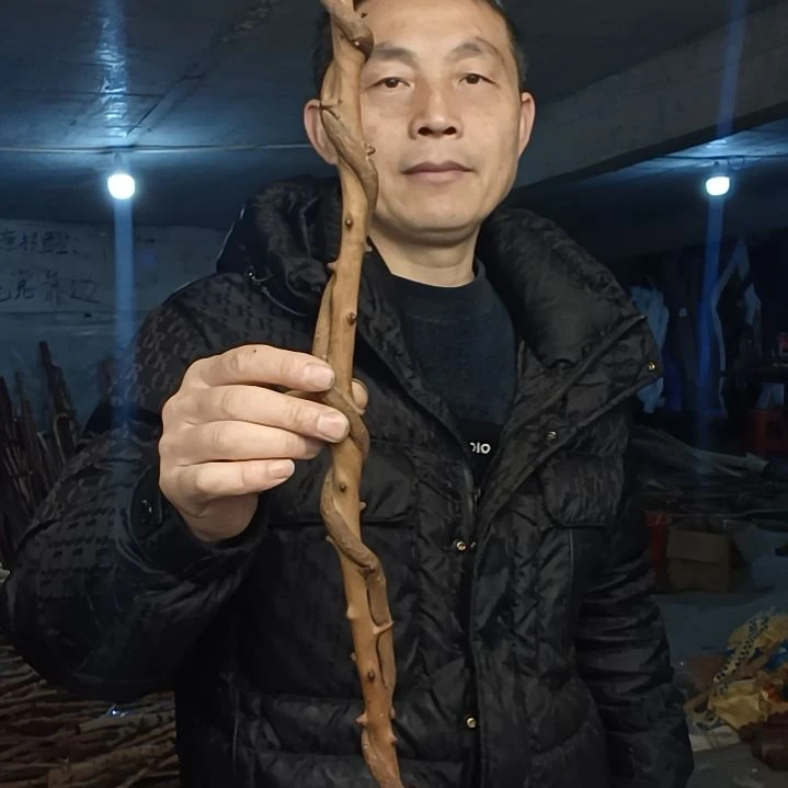 稳定木甪****甪贵州檬子木 铁马鞭 根艺 半成品