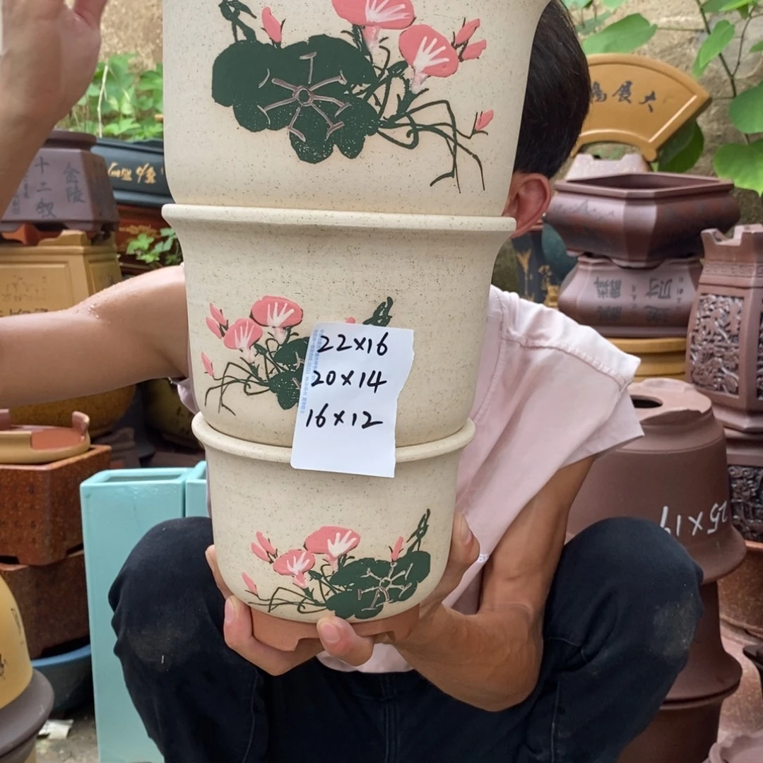 紫砂紫砂紫砂紫砂