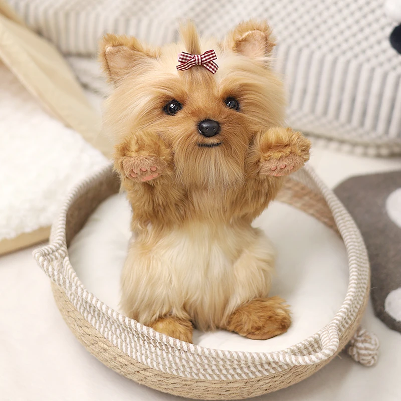 美国卡豆约克夏玩偶狗狗公仔布偶毛绒玩具女孩生日礼物仿真小狗