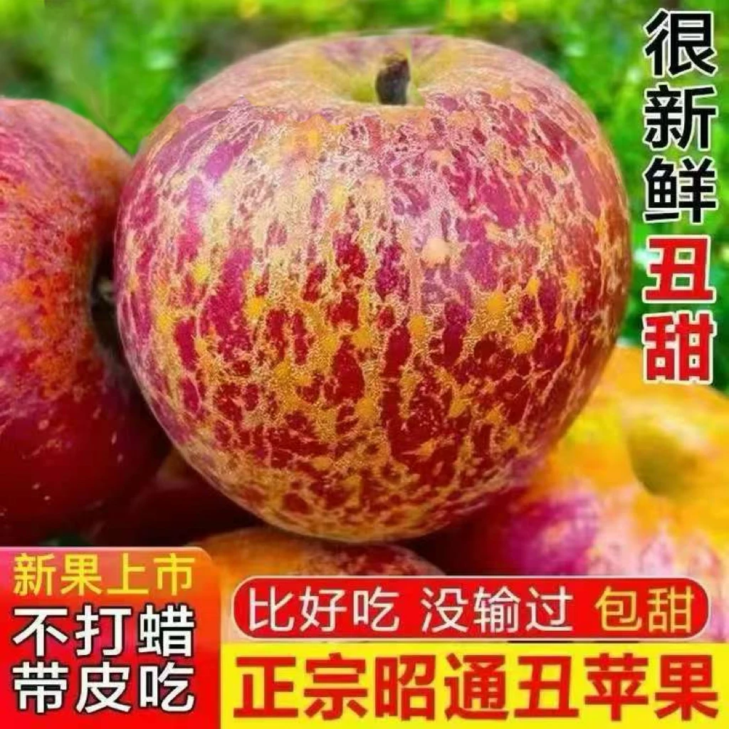 现摘现发云南昭通大凉山冰糖心丑苹果当季红富士孕妇推荐水果包邮