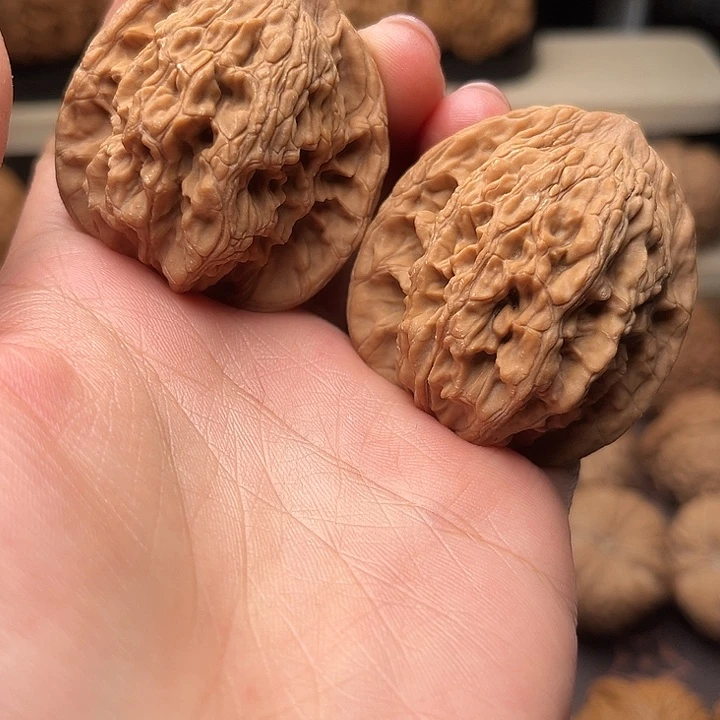 核桃41全品虎头福利对