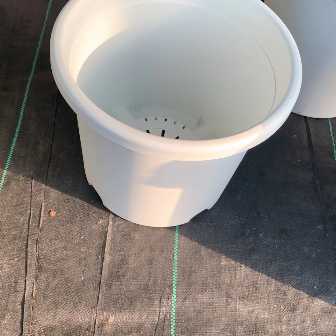 红陶用****活7个32口奶白无