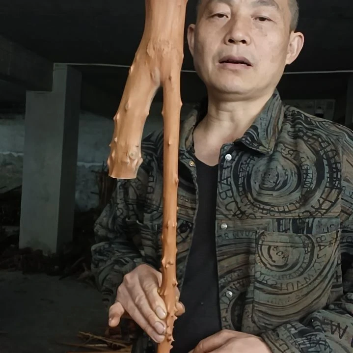 稳定木用****8贵州檬子木 铁马鞭 根艺 半成品