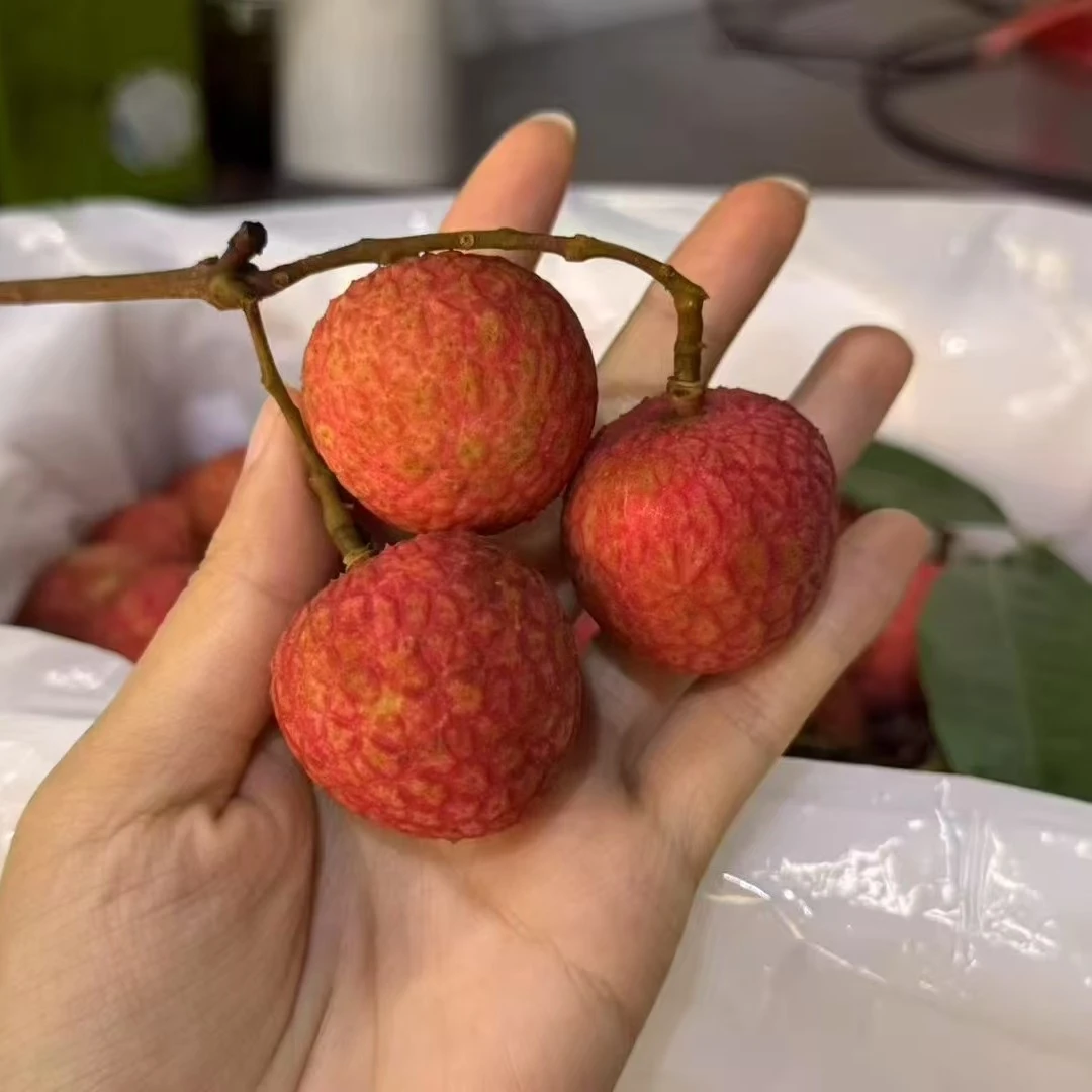 海南陵水白糖罂荔枝(每箱6斤装)荔枝同城送陵水