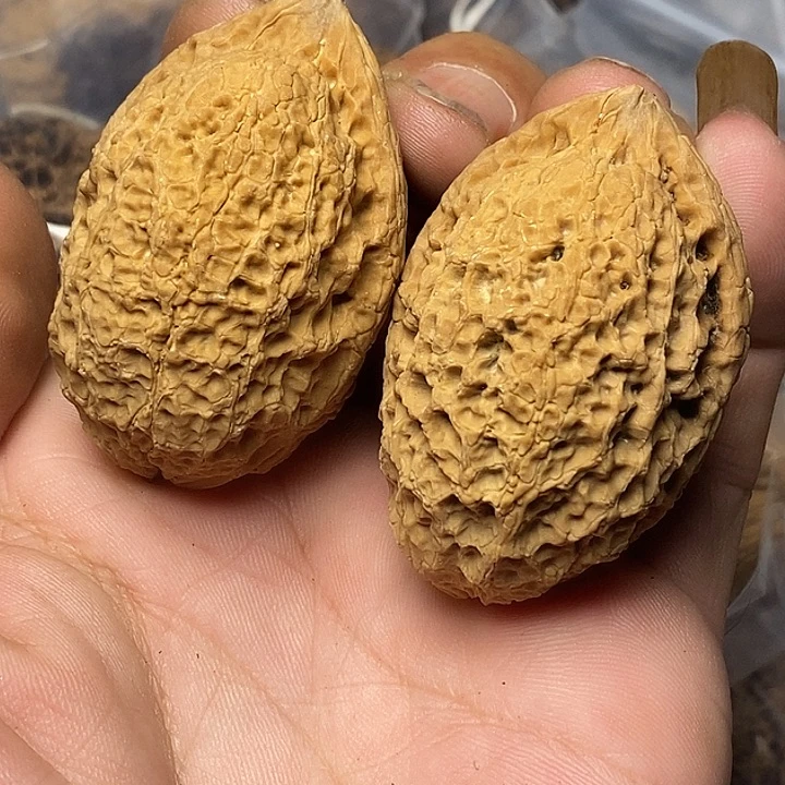 文玩核桃把件云南铁核桃11