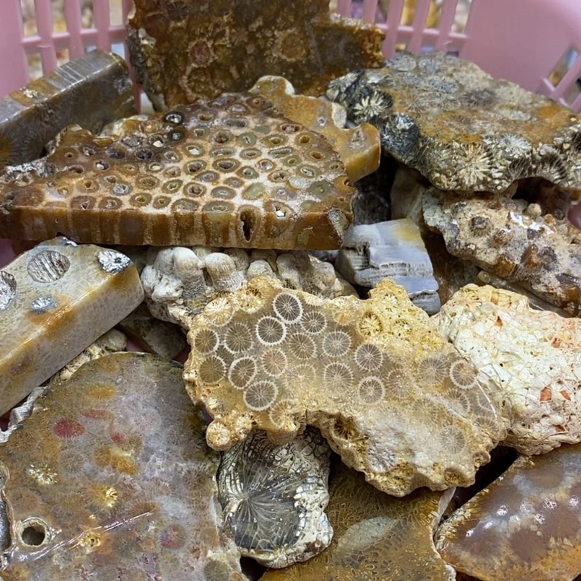 【闪购商品】硅化珊瑚（珊瑚玉）颈饰未镶嵌k 3