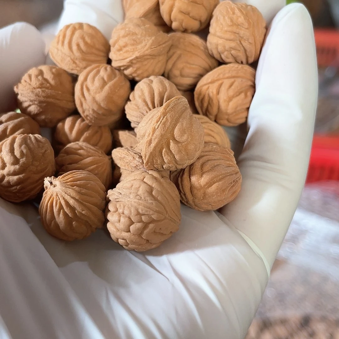 桃核把件深纹金豆黄皮散核无孔一斤14/15