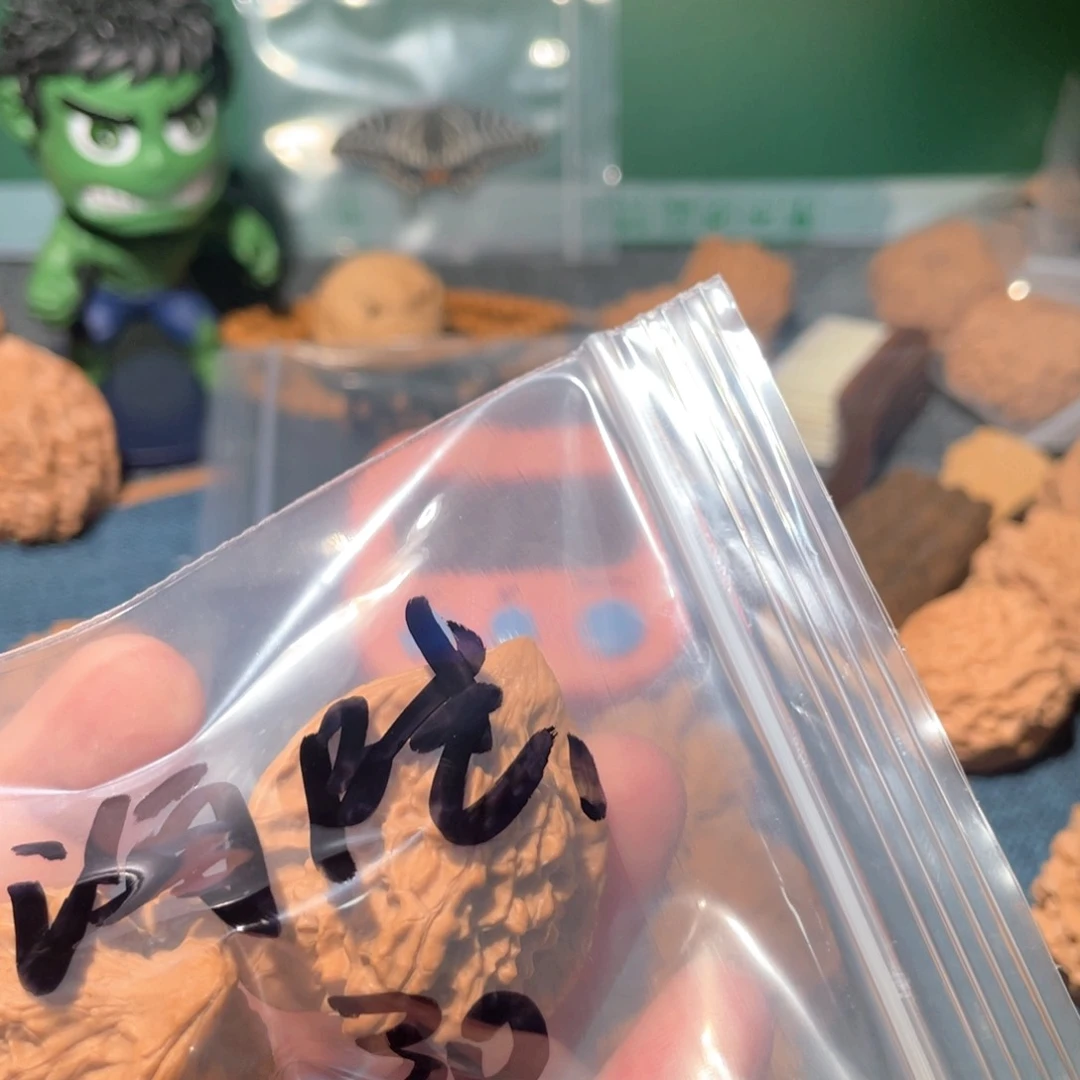 文玩核桃把件海***令（哦代理啦？llome